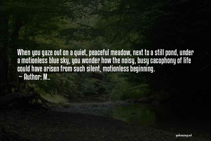 M.. Quotes: When You Gaze Out On A Quiet, Peaceful Meadow, Next To A Still Pond, Under A Motionless Blue Sky, You