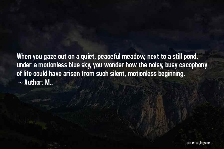 M.. Quotes: When You Gaze Out On A Quiet, Peaceful Meadow, Next To A Still Pond, Under A Motionless Blue Sky, You