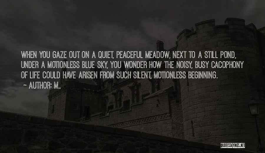 M.. Quotes: When You Gaze Out On A Quiet, Peaceful Meadow, Next To A Still Pond, Under A Motionless Blue Sky, You