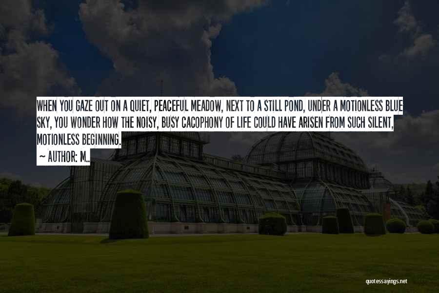 M.. Quotes: When You Gaze Out On A Quiet, Peaceful Meadow, Next To A Still Pond, Under A Motionless Blue Sky, You