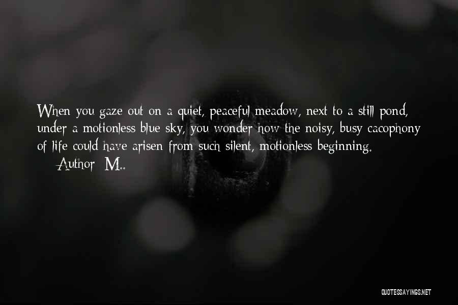 M.. Quotes: When You Gaze Out On A Quiet, Peaceful Meadow, Next To A Still Pond, Under A Motionless Blue Sky, You