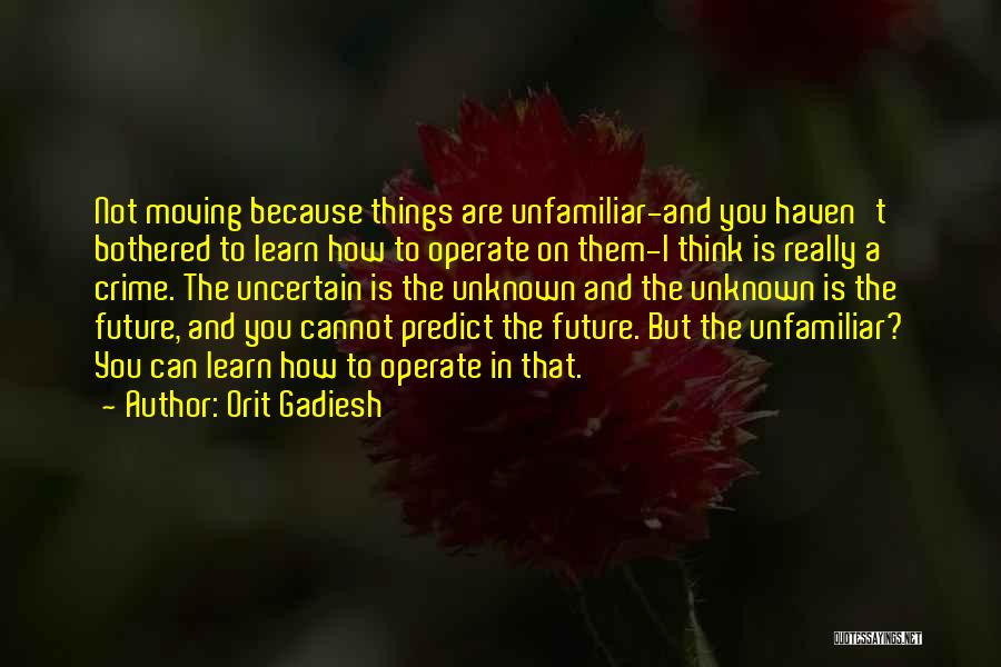 Orit Gadiesh Quotes: Not Moving Because Things Are Unfamiliar-and You Haven't Bothered To Learn How To Operate On Them-i Think Is Really A