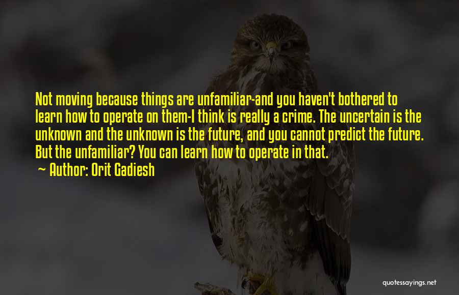 Orit Gadiesh Quotes: Not Moving Because Things Are Unfamiliar-and You Haven't Bothered To Learn How To Operate On Them-i Think Is Really A