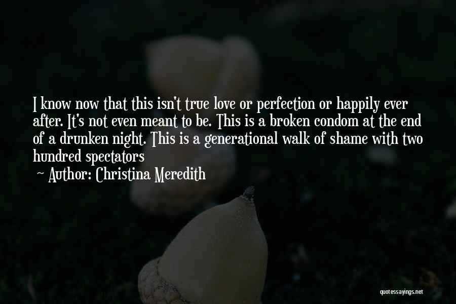 Christina Meredith Quotes: I Know Now That This Isn't True Love Or Perfection Or Happily Ever After. It's Not Even Meant To Be.