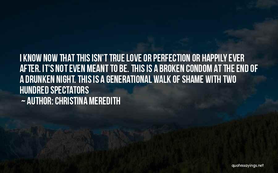 Christina Meredith Quotes: I Know Now That This Isn't True Love Or Perfection Or Happily Ever After. It's Not Even Meant To Be.