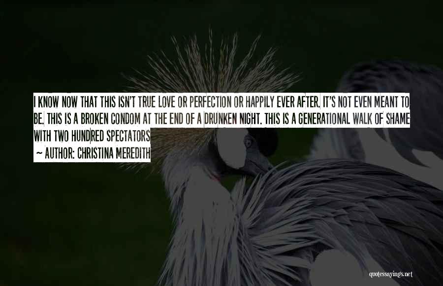 Christina Meredith Quotes: I Know Now That This Isn't True Love Or Perfection Or Happily Ever After. It's Not Even Meant To Be.