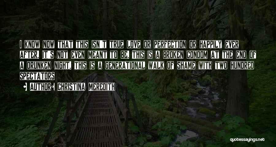 Christina Meredith Quotes: I Know Now That This Isn't True Love Or Perfection Or Happily Ever After. It's Not Even Meant To Be.