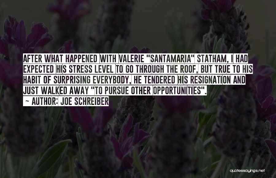 Joe Schreiber Quotes: After What Happened With Valerie Santamaria Statham, I Had Expected His Stress Level To Go Through The Roof, But True