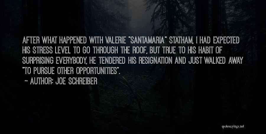 Joe Schreiber Quotes: After What Happened With Valerie Santamaria Statham, I Had Expected His Stress Level To Go Through The Roof, But True