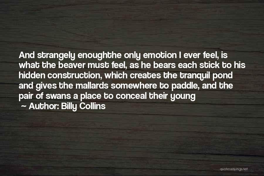 Billy Collins Quotes: And Strangely Enoughthe Only Emotion I Ever Feel, Is What The Beaver Must Feel, As He Bears Each Stick To