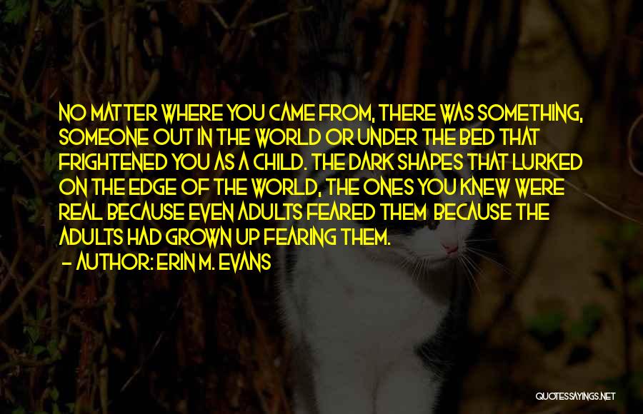 Erin M. Evans Quotes: No Matter Where You Came From, There Was Something, Someone Out In The World Or Under The Bed That Frightened