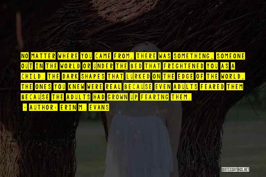 Erin M. Evans Quotes: No Matter Where You Came From, There Was Something, Someone Out In The World Or Under The Bed That Frightened