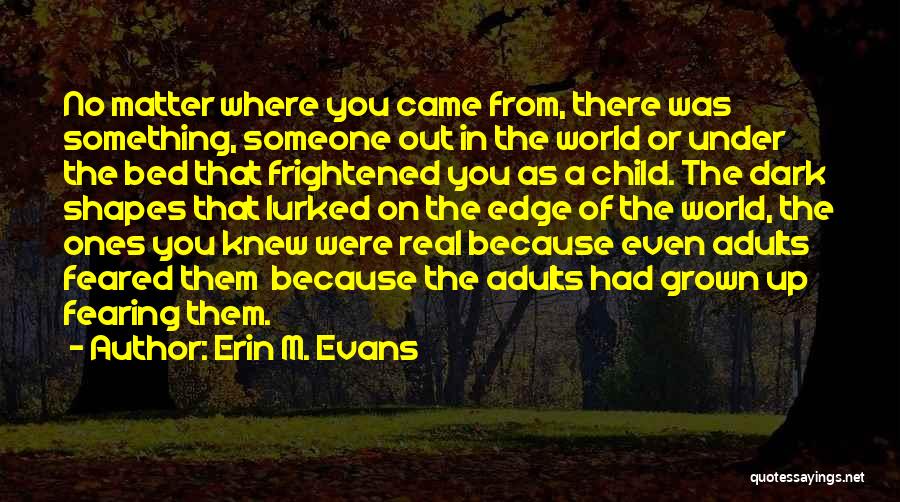 Erin M. Evans Quotes: No Matter Where You Came From, There Was Something, Someone Out In The World Or Under The Bed That Frightened