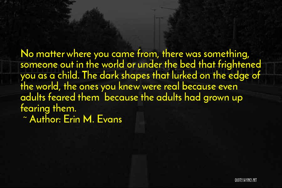 Erin M. Evans Quotes: No Matter Where You Came From, There Was Something, Someone Out In The World Or Under The Bed That Frightened
