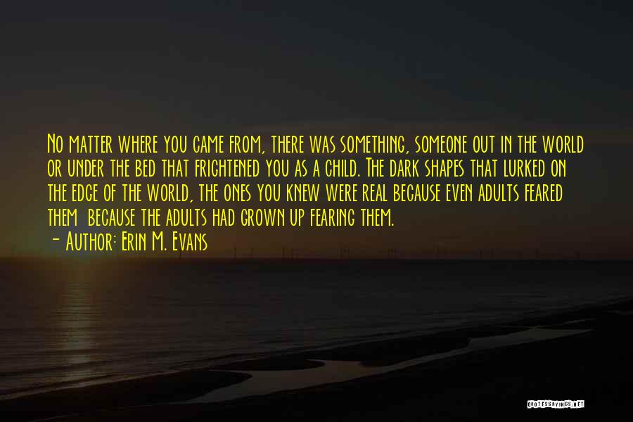 Erin M. Evans Quotes: No Matter Where You Came From, There Was Something, Someone Out In The World Or Under The Bed That Frightened