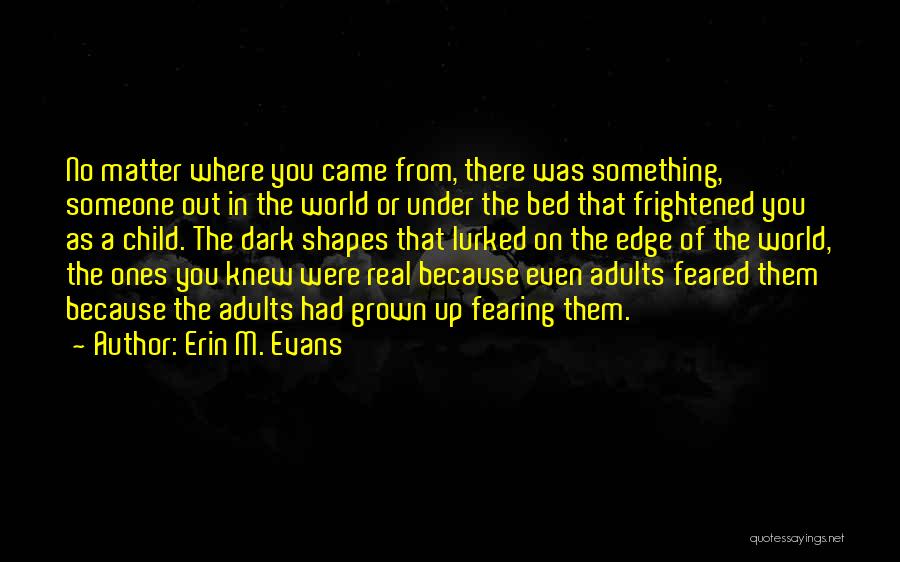 Erin M. Evans Quotes: No Matter Where You Came From, There Was Something, Someone Out In The World Or Under The Bed That Frightened