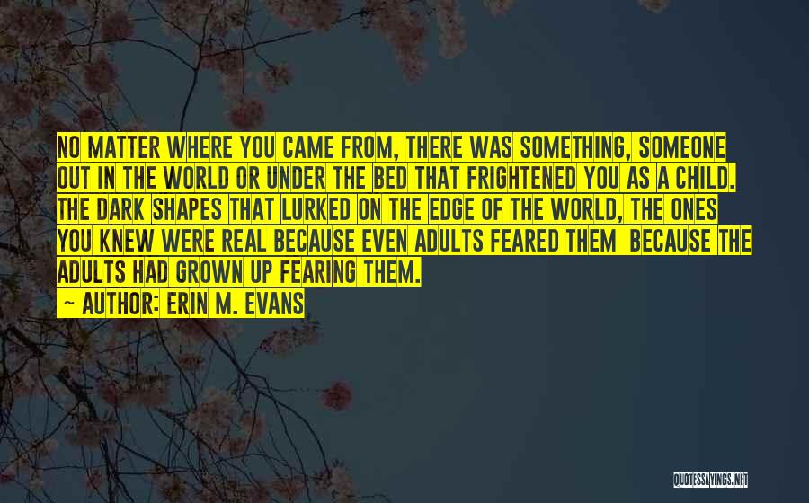 Erin M. Evans Quotes: No Matter Where You Came From, There Was Something, Someone Out In The World Or Under The Bed That Frightened