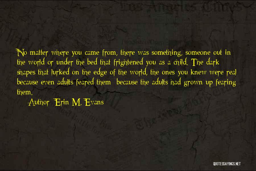 Erin M. Evans Quotes: No Matter Where You Came From, There Was Something, Someone Out In The World Or Under The Bed That Frightened