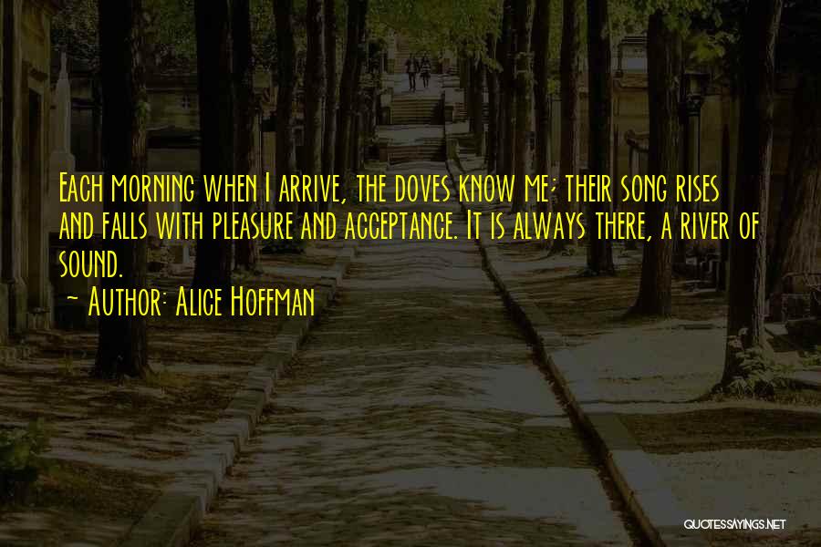 Alice Hoffman Quotes: Each Morning When I Arrive, The Doves Know Me; Their Song Rises And Falls With Pleasure And Acceptance. It Is
