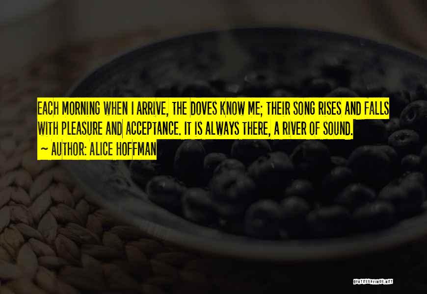 Alice Hoffman Quotes: Each Morning When I Arrive, The Doves Know Me; Their Song Rises And Falls With Pleasure And Acceptance. It Is