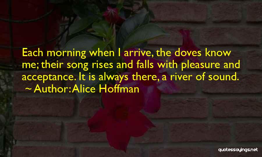 Alice Hoffman Quotes: Each Morning When I Arrive, The Doves Know Me; Their Song Rises And Falls With Pleasure And Acceptance. It Is