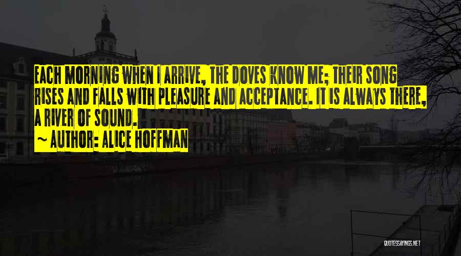 Alice Hoffman Quotes: Each Morning When I Arrive, The Doves Know Me; Their Song Rises And Falls With Pleasure And Acceptance. It Is