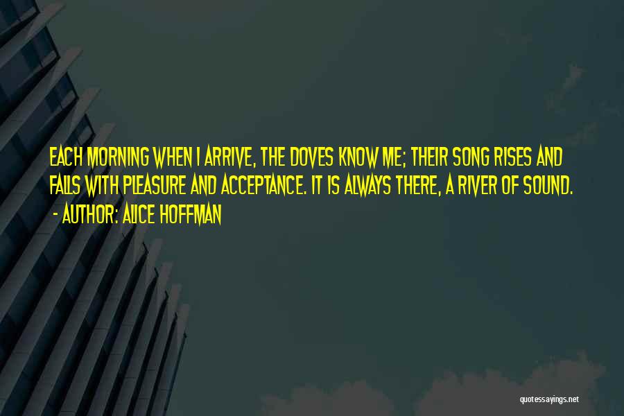 Alice Hoffman Quotes: Each Morning When I Arrive, The Doves Know Me; Their Song Rises And Falls With Pleasure And Acceptance. It Is