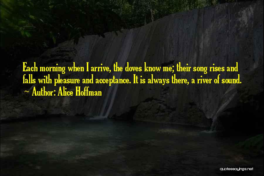 Alice Hoffman Quotes: Each Morning When I Arrive, The Doves Know Me; Their Song Rises And Falls With Pleasure And Acceptance. It Is