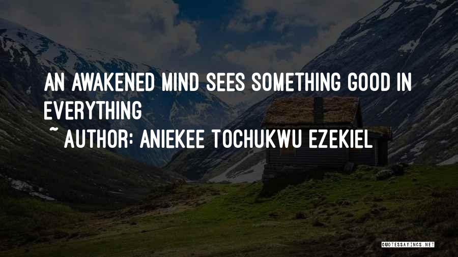 Aniekee Tochukwu Ezekiel Quotes: An Awakened Mind Sees Something Good In Everything
