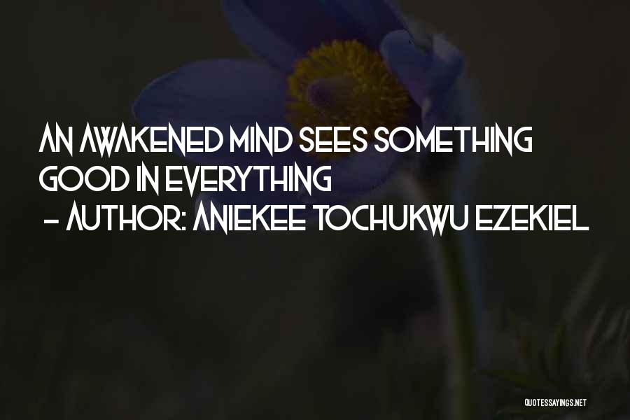 Aniekee Tochukwu Ezekiel Quotes: An Awakened Mind Sees Something Good In Everything