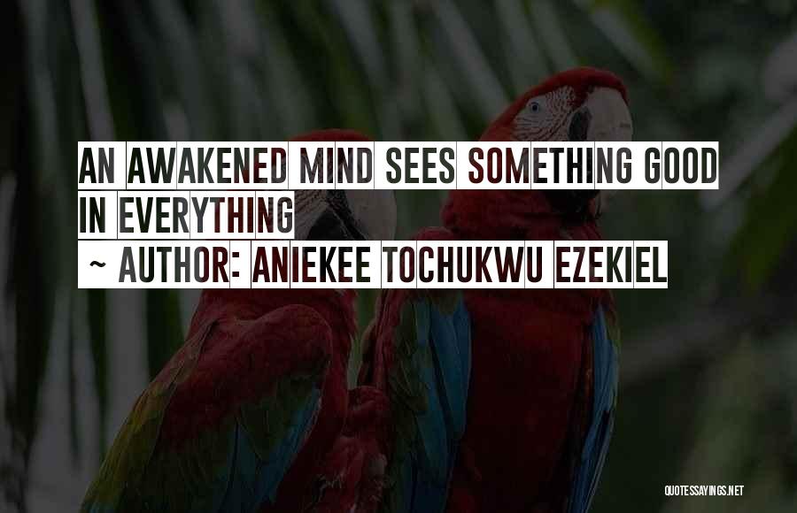 Aniekee Tochukwu Ezekiel Quotes: An Awakened Mind Sees Something Good In Everything
