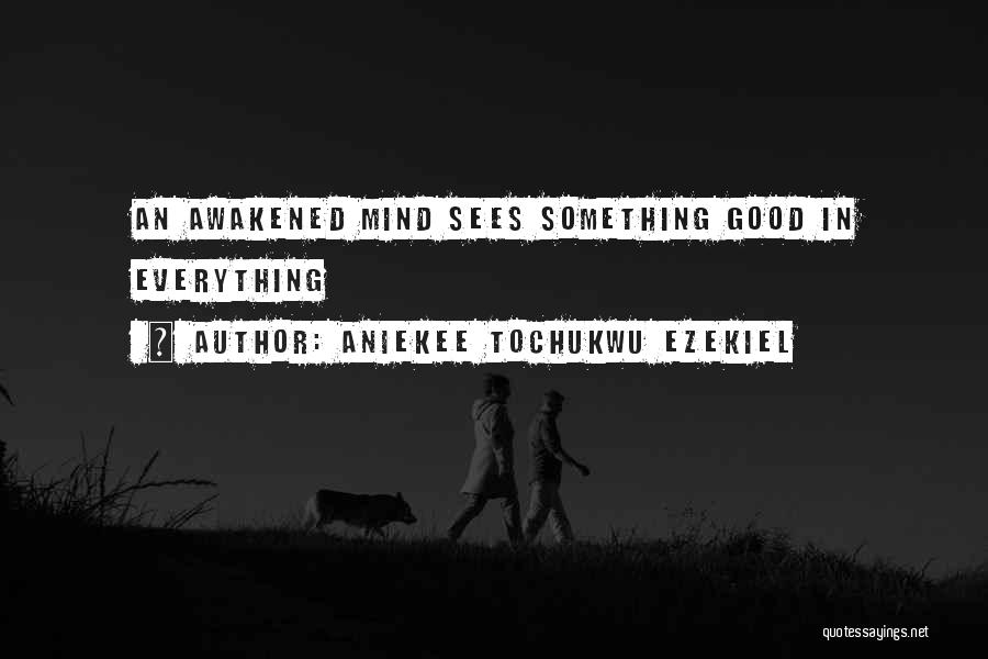 Aniekee Tochukwu Ezekiel Quotes: An Awakened Mind Sees Something Good In Everything
