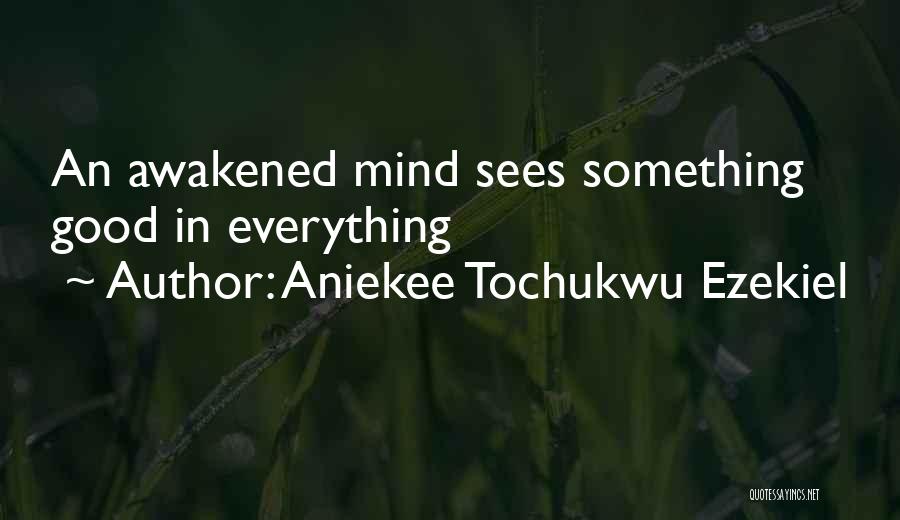 Aniekee Tochukwu Ezekiel Quotes: An Awakened Mind Sees Something Good In Everything