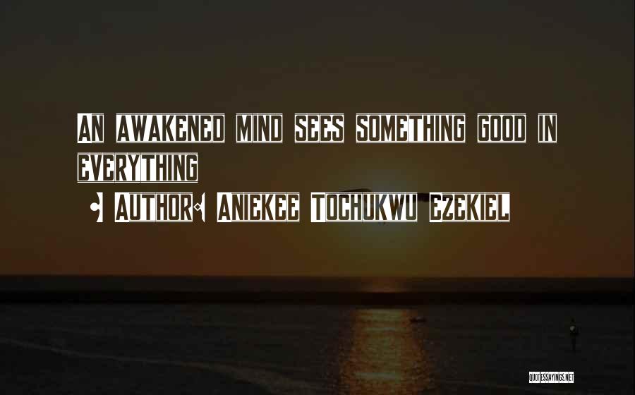 Aniekee Tochukwu Ezekiel Quotes: An Awakened Mind Sees Something Good In Everything