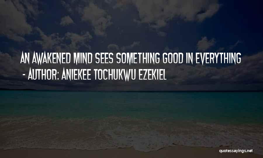 Aniekee Tochukwu Ezekiel Quotes: An Awakened Mind Sees Something Good In Everything