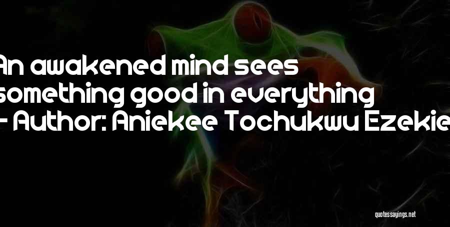 Aniekee Tochukwu Ezekiel Quotes: An Awakened Mind Sees Something Good In Everything