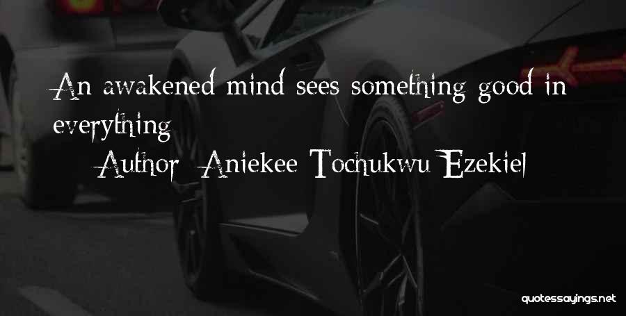 Aniekee Tochukwu Ezekiel Quotes: An Awakened Mind Sees Something Good In Everything