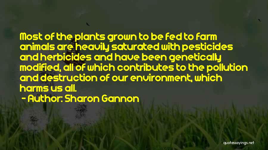 Sharon Gannon Quotes: Most Of The Plants Grown To Be Fed To Farm Animals Are Heavily Saturated With Pesticides And Herbicides And Have