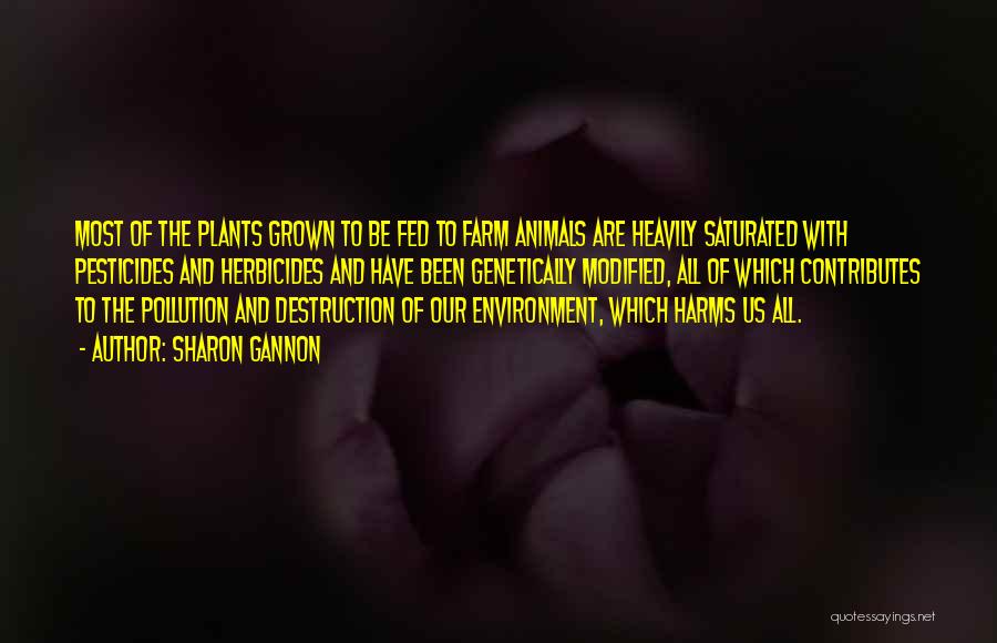 Sharon Gannon Quotes: Most Of The Plants Grown To Be Fed To Farm Animals Are Heavily Saturated With Pesticides And Herbicides And Have