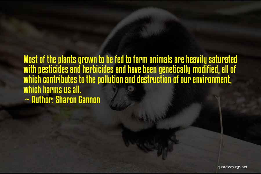 Sharon Gannon Quotes: Most Of The Plants Grown To Be Fed To Farm Animals Are Heavily Saturated With Pesticides And Herbicides And Have