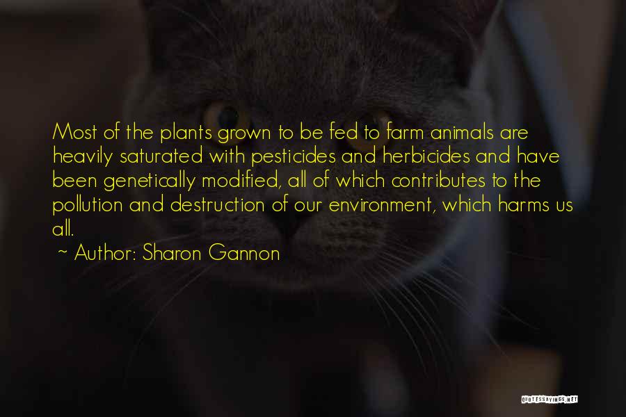 Sharon Gannon Quotes: Most Of The Plants Grown To Be Fed To Farm Animals Are Heavily Saturated With Pesticides And Herbicides And Have