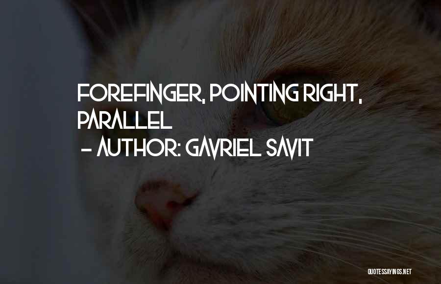 Gavriel Savit Quotes: Forefinger, Pointing Right, Parallel