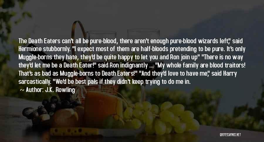 J.K. Rowling Quotes: The Death Eaters Can't All Be Pure-blood, There Aren't Enough Pure-blood Wizards Left, Said Hermione Stubbornly. I Expect Most Of