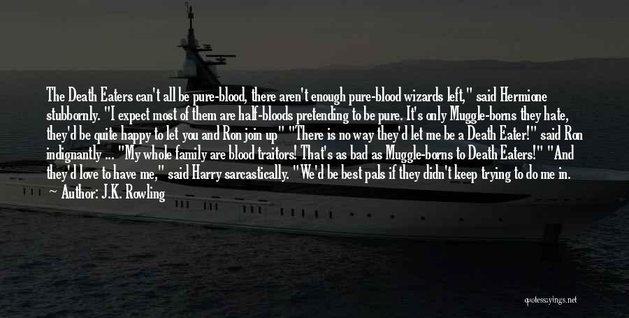 J.K. Rowling Quotes: The Death Eaters Can't All Be Pure-blood, There Aren't Enough Pure-blood Wizards Left, Said Hermione Stubbornly. I Expect Most Of