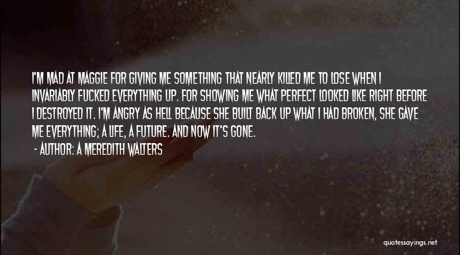 A Meredith Walters Quotes: I'm Mad At Maggie For Giving Me Something That Nearly Killed Me To Lose When I Invariably Fucked Everything Up.