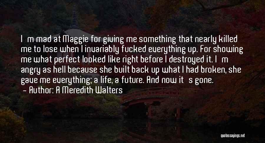 A Meredith Walters Quotes: I'm Mad At Maggie For Giving Me Something That Nearly Killed Me To Lose When I Invariably Fucked Everything Up.