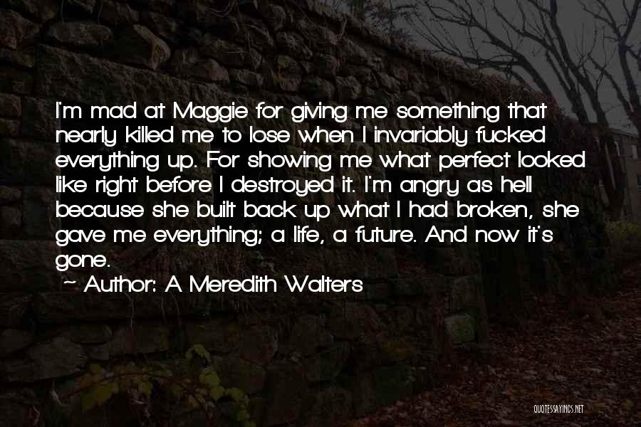 A Meredith Walters Quotes: I'm Mad At Maggie For Giving Me Something That Nearly Killed Me To Lose When I Invariably Fucked Everything Up.