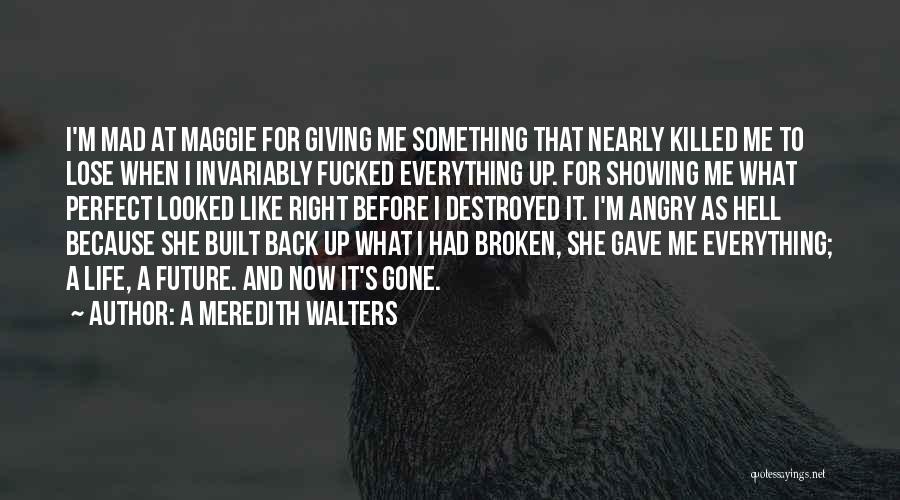 A Meredith Walters Quotes: I'm Mad At Maggie For Giving Me Something That Nearly Killed Me To Lose When I Invariably Fucked Everything Up.