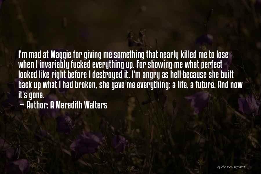 A Meredith Walters Quotes: I'm Mad At Maggie For Giving Me Something That Nearly Killed Me To Lose When I Invariably Fucked Everything Up.