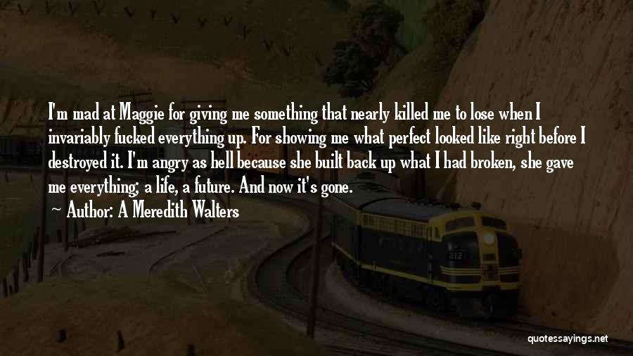 A Meredith Walters Quotes: I'm Mad At Maggie For Giving Me Something That Nearly Killed Me To Lose When I Invariably Fucked Everything Up.